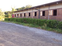 Bienvenue aux ecuries des pyrenees